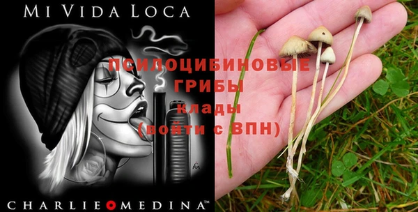 гашик Кинешма