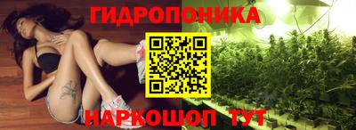 мдпв Камышлов