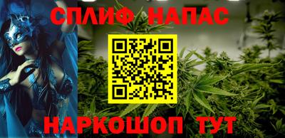 мдпв Камышлов