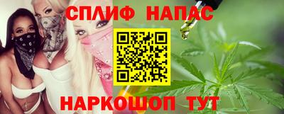 мдпв Камышлов