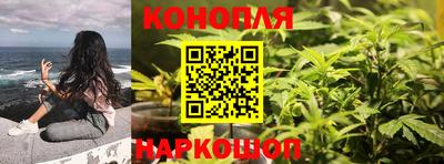 мдпв Камышлов