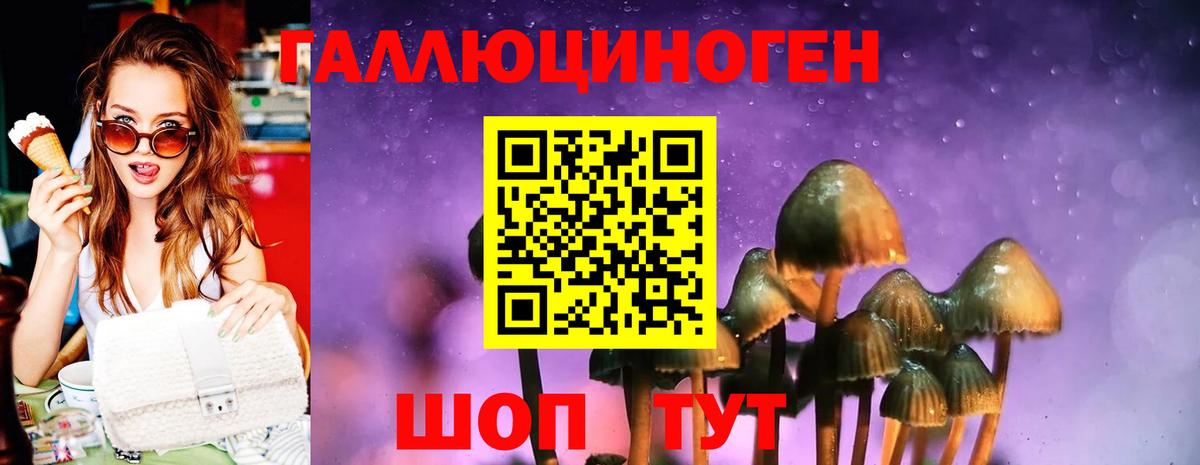 Галлюциногенные грибы Psilocybine cubensis Комсомольск-на-Амуре